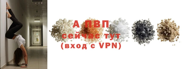 СК Арсеньев