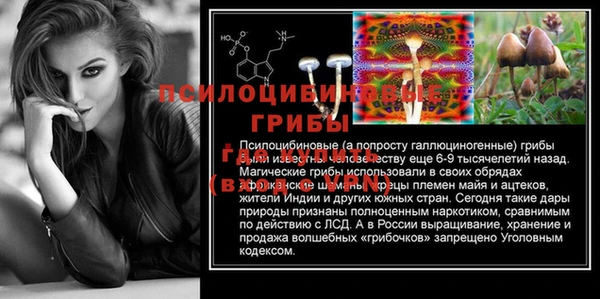 СК Арсеньев