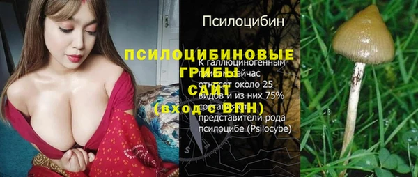 СК Арсеньев