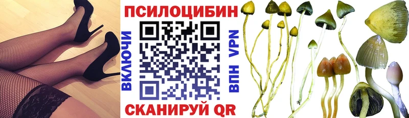 купить наркотик  Россошь  Псилоцибиновые грибы ЛСД 